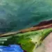 Agmon Ha Hula Preserve in The Upper Galilee - Painting By Israeli Artist Ednah Schwartz