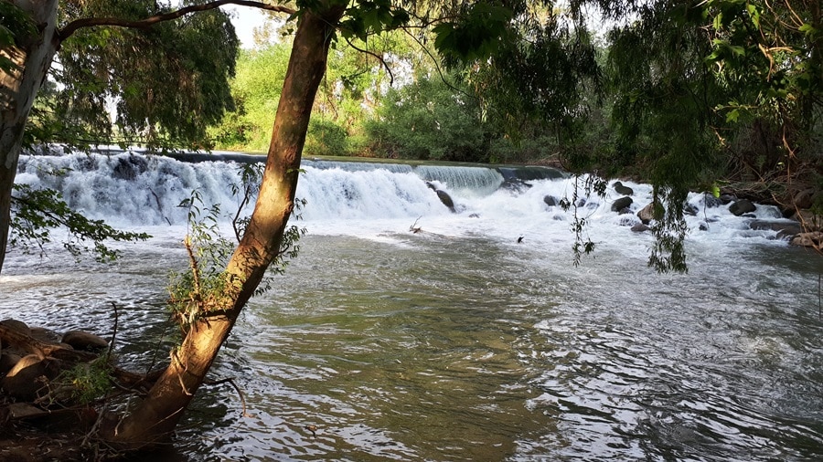 The Jordan River By Kibbutz Kfar Blum Israel