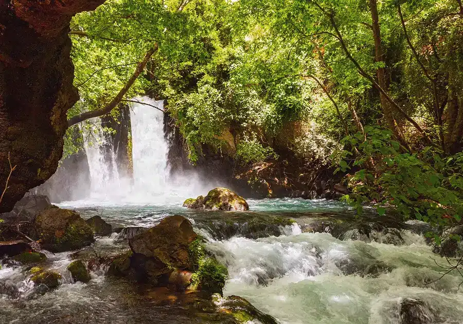 Upper Galilee Banias Falls Nature Reserve Upper Galilee Banias Falls Nature Reserve