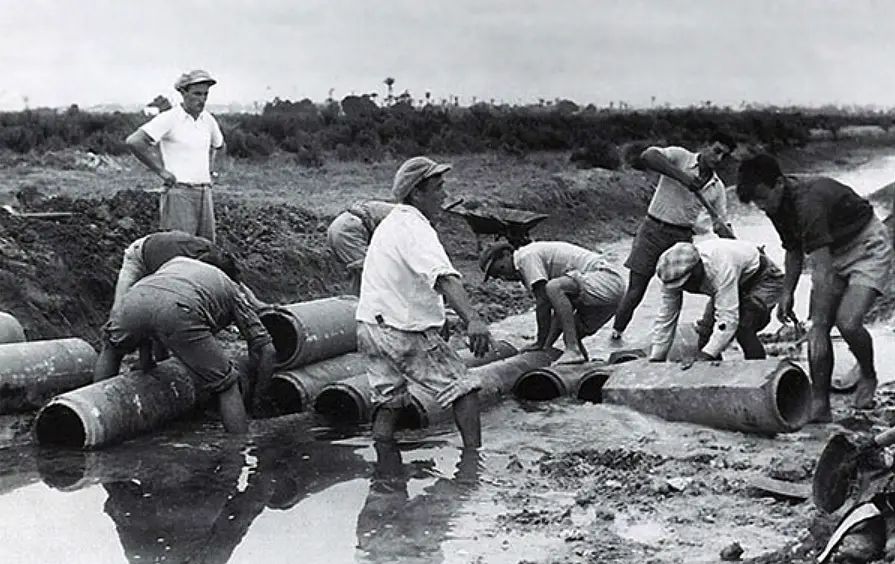 Draining of the Hula Valley Swamp